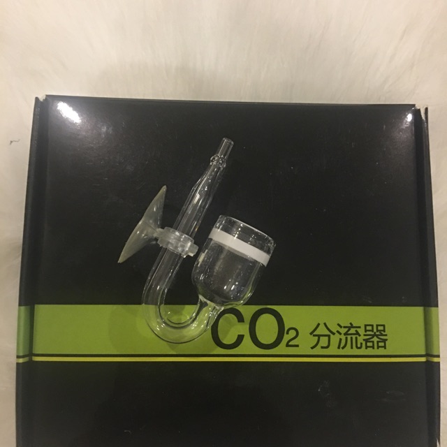Sủi co2 thuỷ tinh siêu mịn