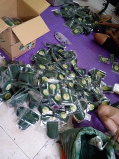 Tảo Diệp Lục 100gr ( Bột tảo xoắn đắp mặt HandMade).