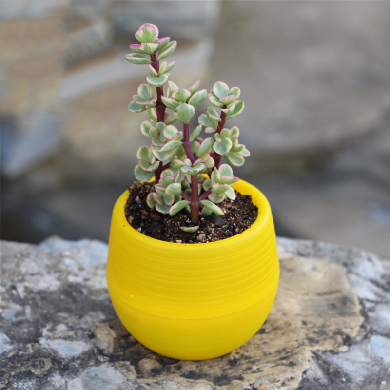 Chậu hoa nhỏ gọn mini dễ thương nhiều màu sắc 7x7cm