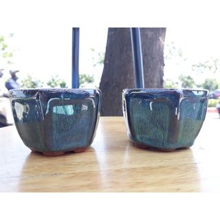 Chậu trồng cây mini