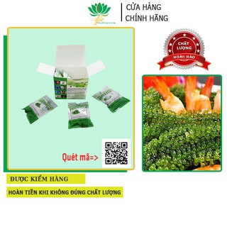 Rong nho tươi 💚 𝑭𝑹𝑬𝑬𝑺𝑯𝑰𝑷 💚 rong nho Green Food 💚 là một món quà thiên nhiên từ biển