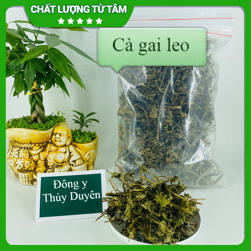 Cà Gai Leo 1kg (Hàng chất lượng loại 1)