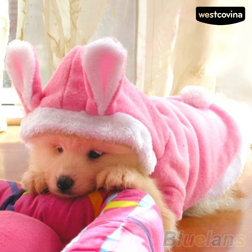 Áo Hoodie Tai Thỏ Dễ Thương Cho Thú Cưng