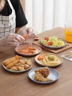 Set đĩa lúa mạch (Mix 6 màu)