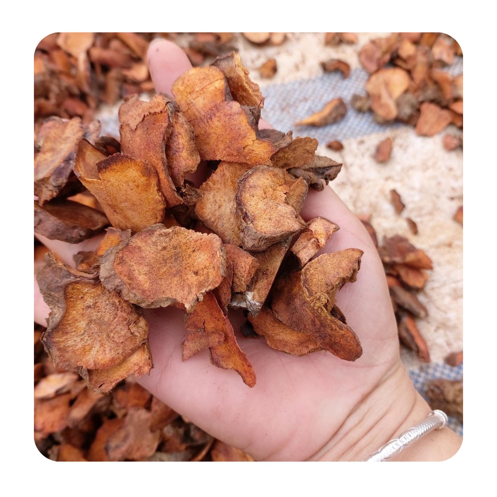 Thổ phục linh ( củ khúc khắc )  khô loại 1 hỗ trợ về xương khớp | BigBuy360 - bigbuy360.vn