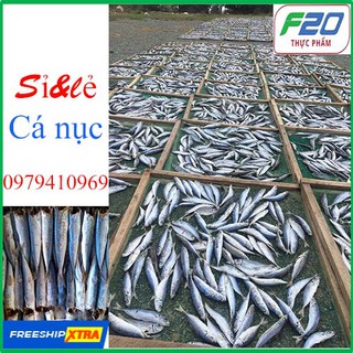 [ 1Kg ] Cá Nục Nhạt Muối | SP Y Hình | Cá Nục Khô Bỏ đầu