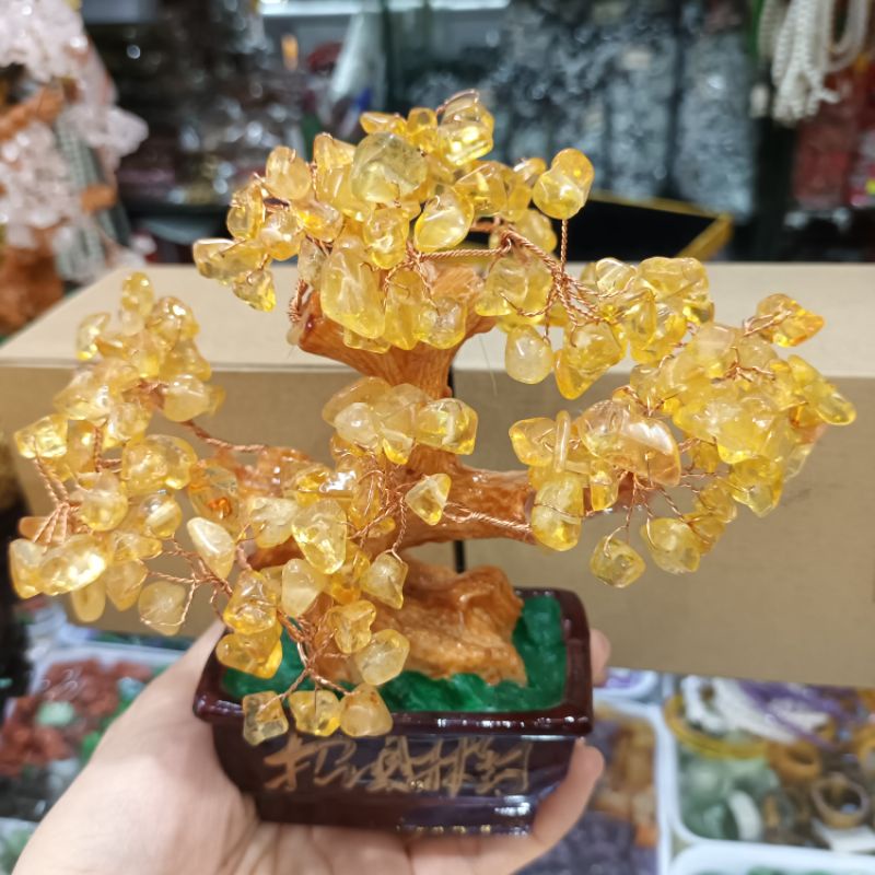 Cây đá màu vàng hút tài lộc, cây tài lộc để bàn thờ Thần tài, quầy thu ngân, két sắt, bàn làm việc, sưu tầm