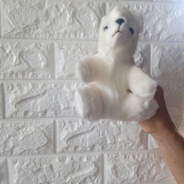 Sét teddy 250