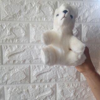 Sét teddy 250