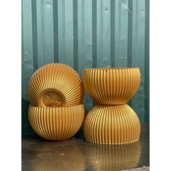 Chậu Gân sọc để bàn màu Vàng Đồng derco siêu siêu đẹp ạ - Ảnh thật