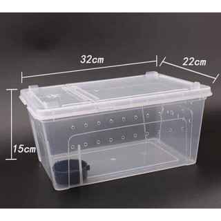 Hộp nuôi bò sát , hộp nhựa nuôi bò sát chữ nhât dành cho thú cưng nhỏ