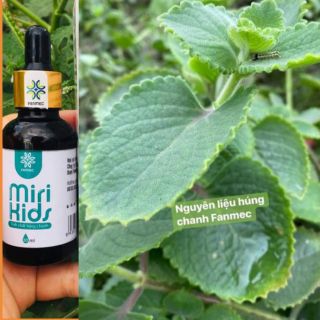 DẦU HÚNG CHANH MitriKids