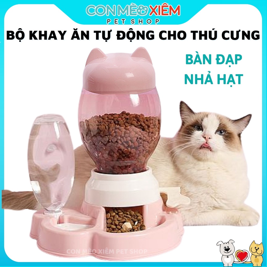 Bộ chén ăn cho chó mèo tự động đạp chân tai thỏ đôi nhựa đựng thức ăn có khay nước, phụ kiện thú cưng Con Mèo Xiêm