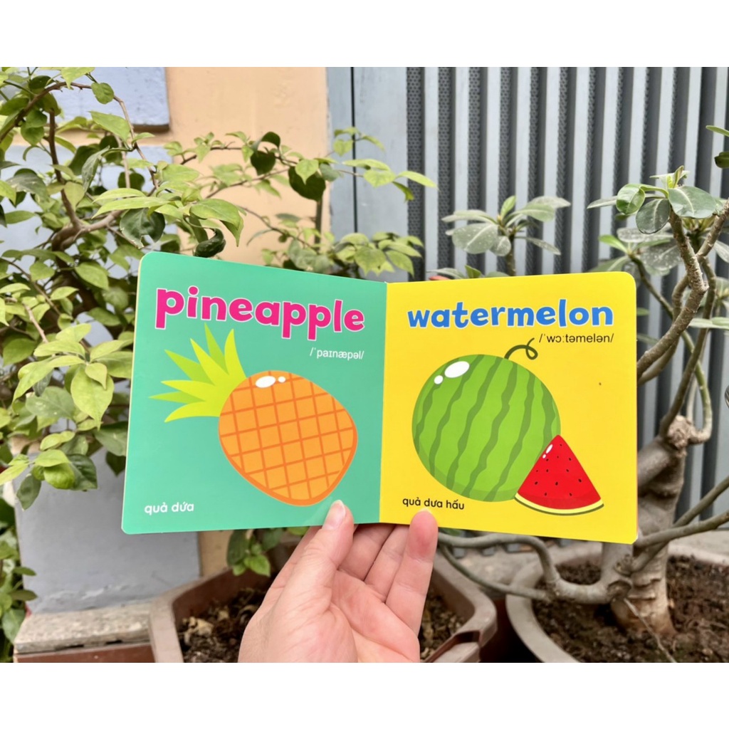 Bộ sách bìa cứng Thư viện hình ảnh đầu tiên cho bé về thế giới xung quanh - Baby's First Picture Book (8 Cuốn)