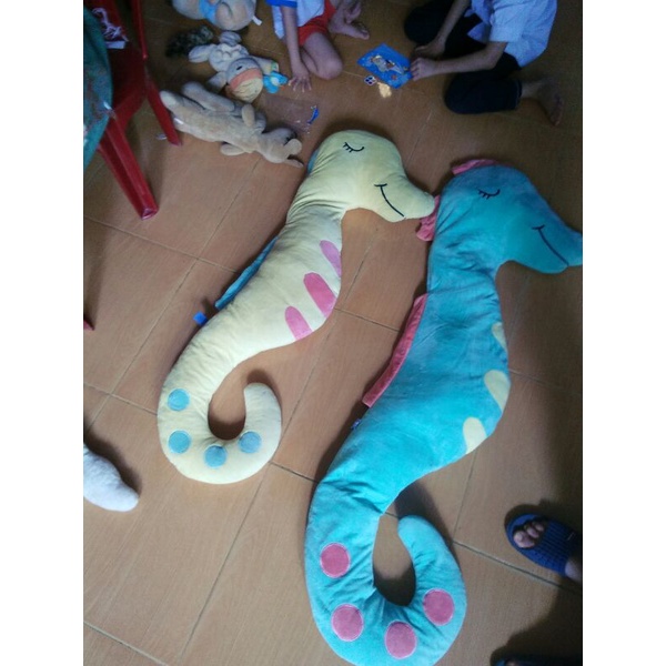gấu cá ngựa