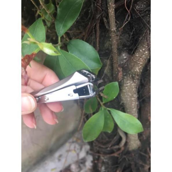 Bấm móng tay Đức hiệu ZWilling .