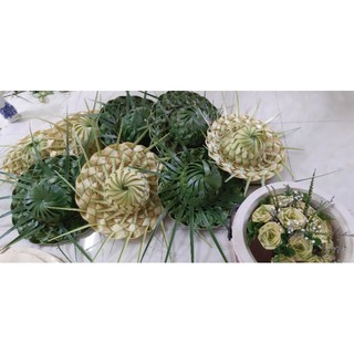 Combo 4 nón lá dừa tươi