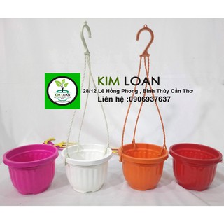 Combo 10 chậu treo trái bí cỡ trung 11x9cm