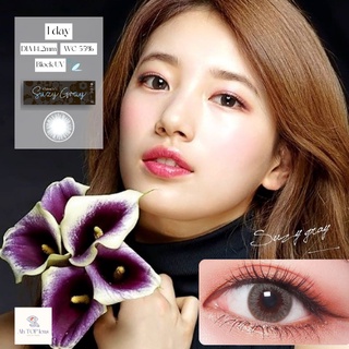 [5 CẶP] Kính áp tròng màu 1 ngày Hàn Quốc Clalen Iris_màu SUZY GRAY