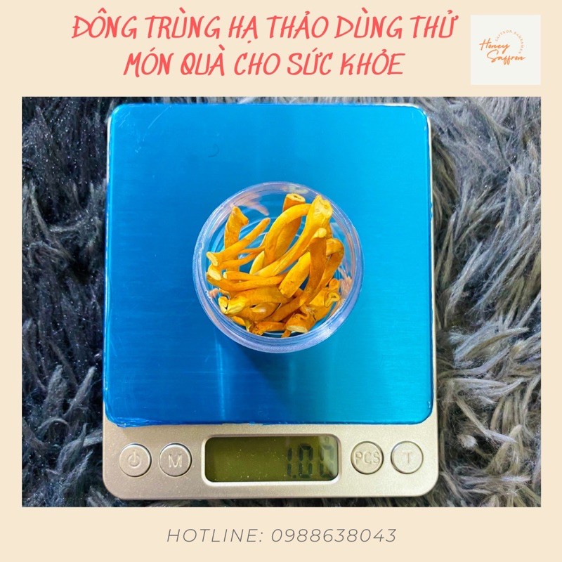 Đông trùng hạ thảo - mẫu dùng thử 7 ngày - hũ 1gr - đông trùng hạ thảo khô sấy thăng hoa cao cấp