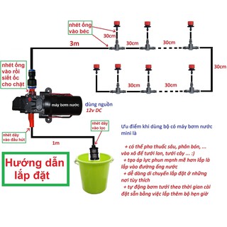 hệ thống tưới nhỏ giọt