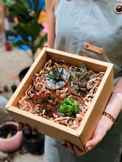 Hộp Giấy Kraft (nhiều màu)