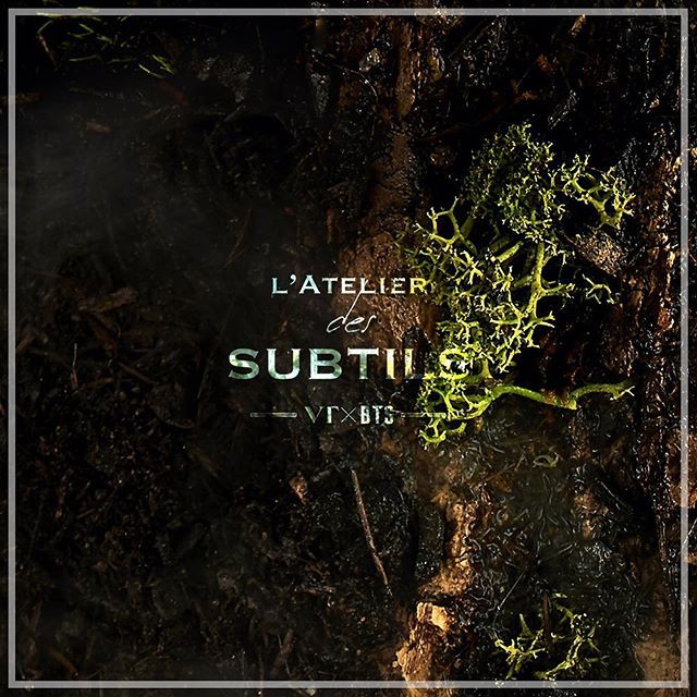 ( Tặng 15 tấm Postcards BTS ) Nước hoa VT x BTS  Eau De Bois - hơi thở đại ngàn ( Hàng có sẵn ) | Thế Giới Skin Care