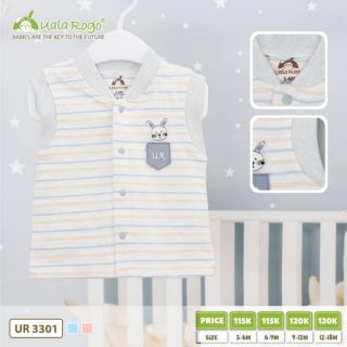 Gile kẻ xanh con thỏ