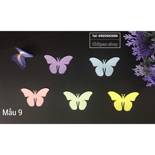 Set bướm giấy 5 con