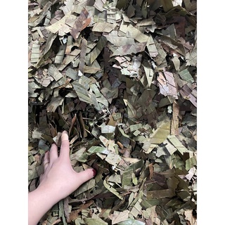500GR Lá quế khô thơm ngon