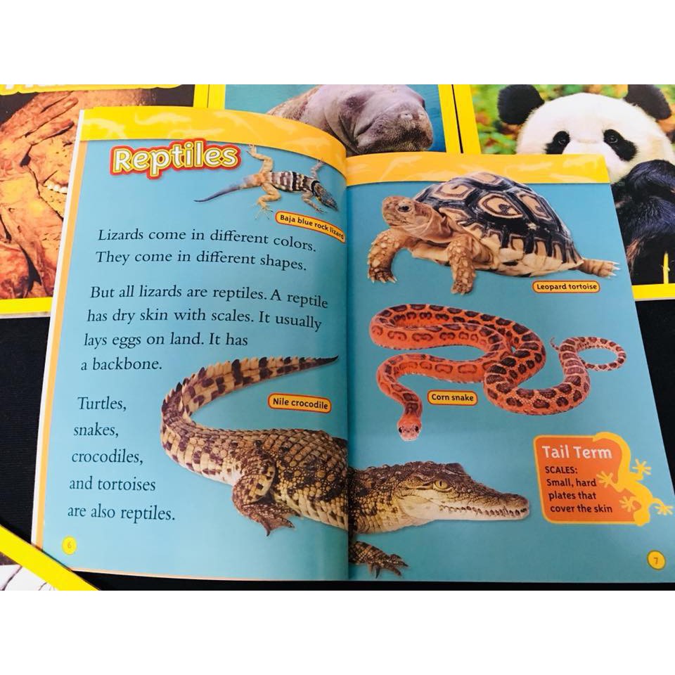 Bộ nhập - National Geographic Kids (Level 2 - 36 Quyển)