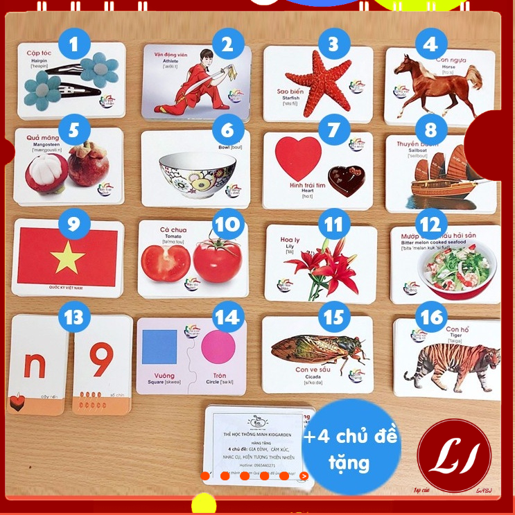 Set 15 Thẻ song ngữ NHẬN BIẾT thế giới xung quanh cho bé - khổ nhỏ - labi kid