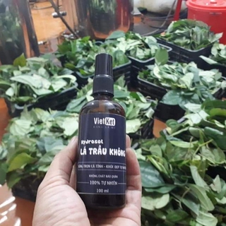 Nước vệ sinh lá Trầu Không vietket