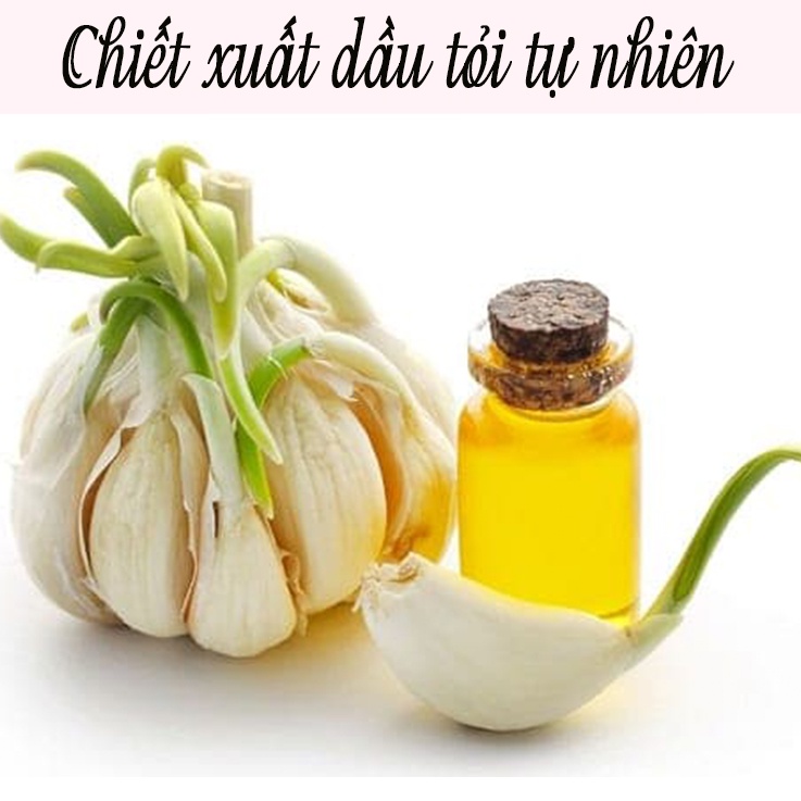 Tinh Dầu Tỏi Trị Sâu, Bọ, Phòng Ngừa Virus -  Dành cho Hoa Lan - Rau - Cây Trồng v.v.v