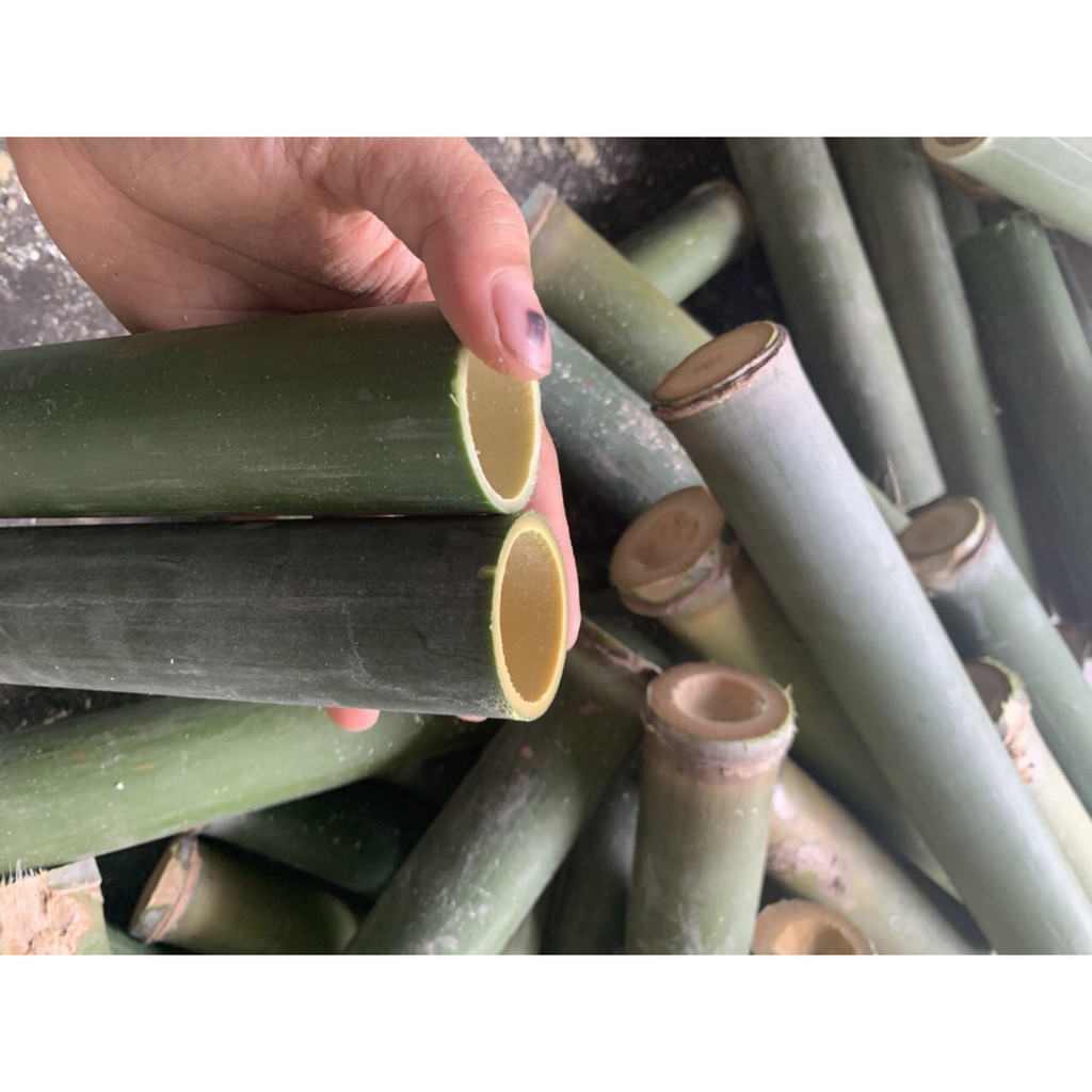 Ống tre nấu cơm lam dài 35cm