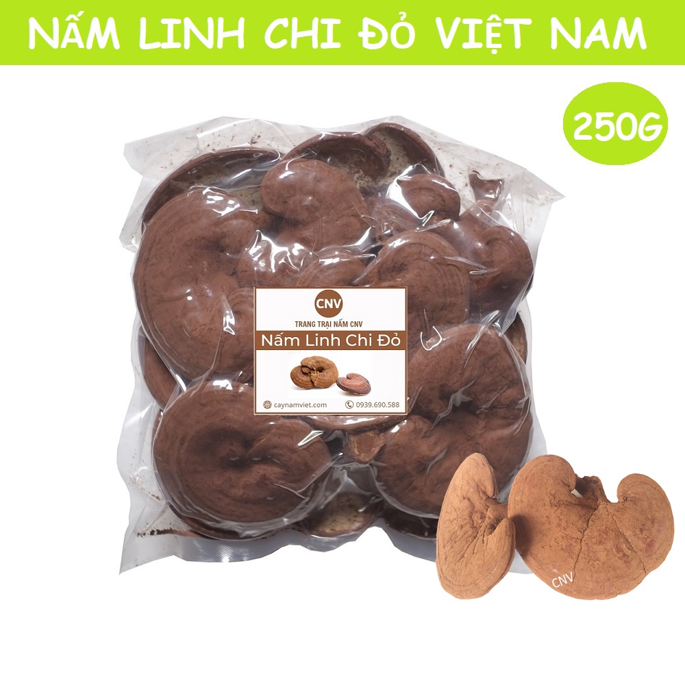 Nấm linh chi đỏ Việt Nam CNV 250g (xích chi cao cấp)