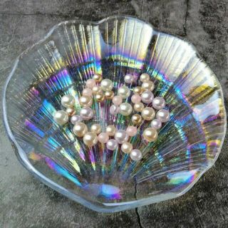 Đĩa Sò Cầu Vồng 🌈🌈✨ [ Thủy Tinh ]