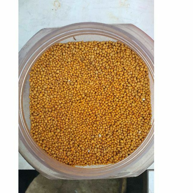 Phân tan chậm NPK 14 14 14 Oscomote Mỹ