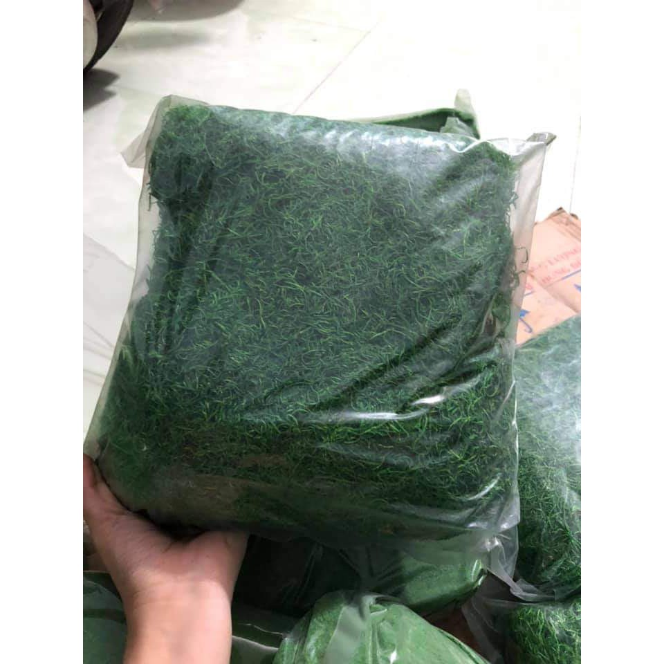 1 BỊCH LỚN CỎ SỢI/ CỎ BỘT RÊU XANH GIÁ SỈ