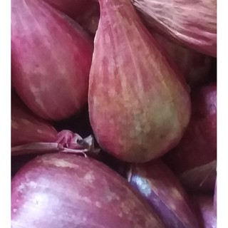 Hành tím chính gốc lý sơn