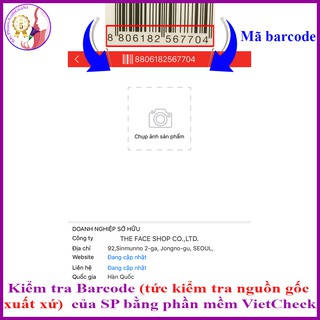DỤNG CỤ BẤM LÔNG MI DAILY BEAUTY TOOLS PREMIUM