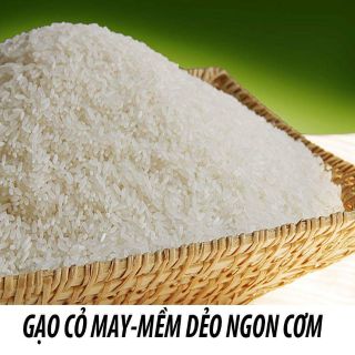Gạo cỏ may 10kg
