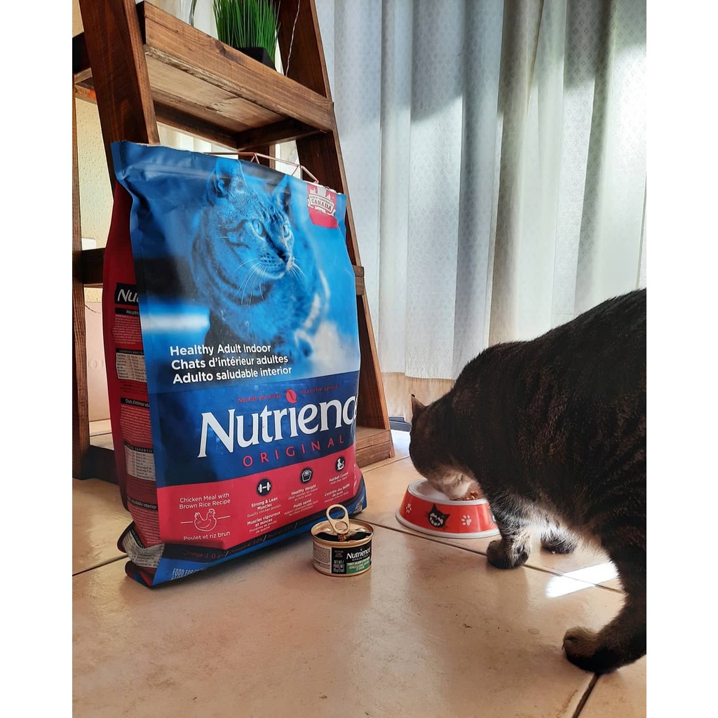 Thức Ăn Cho Mèo Không Lông Sphynx Nutrience Infusion Bao 500g - Đồ Ăn Cho Mèo, Vị Thịt Gà, Rau Củ, Trái Cây