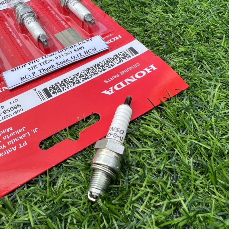 BUGI NỘI ĐỊA INDONESIA