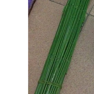 kẽm làm cành hoa giấy , voan ... : 20k / 20 cành 