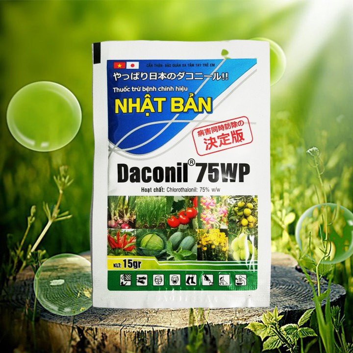 Thuốc trừ bệnh Nhật Bản Daconil 75WP 15g trị thán thư, đôm lá, sương mai, phấn trắng