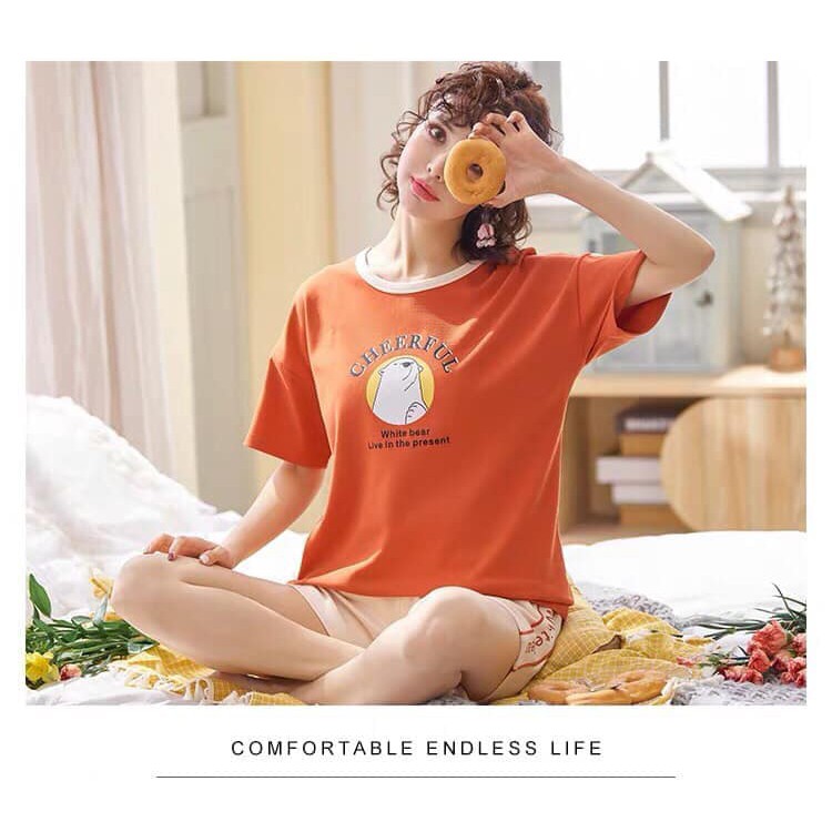 BỘ GẤU BẮC CỰC - MÀU MỚI
