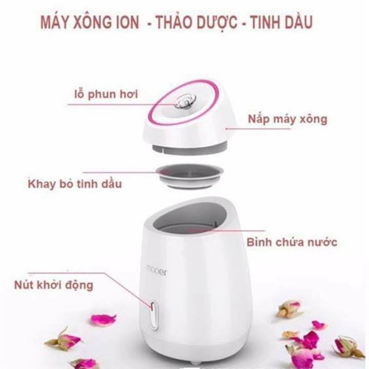 MÁY XÔNG HƠI DA MẶT HOA QUẢ TƯƠI TỰ ĐỘNG 2 IN 1 MAOER