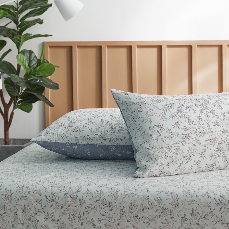 Set Ga + Gối Cotton Living Thoáng Mát Shinbedding
