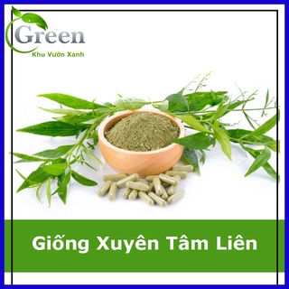 Hạt Giống Xuyên Tâm Liên